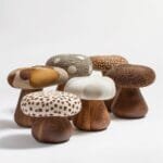 Mushroom Poof Collection